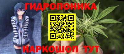 таблы Кингисепп