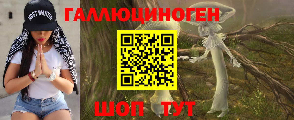 купить закладку  Галлюциногенные грибы GOLDEN TEACHER  Вход с VPN  Краснодар 
