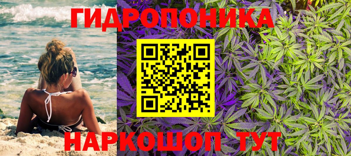 Шишки марихуана VHQ  МАРИХУАНА OG Kush  Краснодар  Вход с VPN  Конопля сатива 